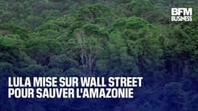  Lula mise sur Wall Street pour sauver l'Amazonie 