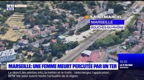 Bouches-du-Rhône: une femme meurt percutée par un TER, le trafic interrompue entre Marseille et Toulon