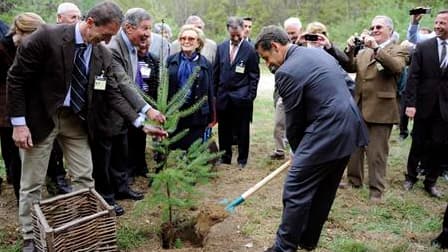Nicolas Sarkozy, aux côtés de Bernadette Chirac, plante un arbre à Tra-le-Bos, à l'occasion d'une visite consacrée à l'industrie du bois. En panne de confiance dans les sondages, le chef de l'Etat s'est rendu jeudi en Corrèze, le département où son prédéc