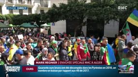 Démission de Bouteflika: quelle suite maintenant? 