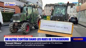 Colère des agriculteurs: un cortège dans les rues de Strasbourg