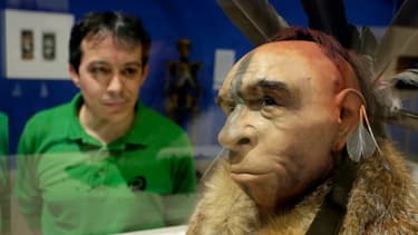 Un visiteur regarde une reconstitution scientifique du visage d'un homme de Néandertal, au Musée de l'évolution humaine de Burgos le 10 juin 2014