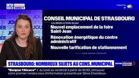 Stationnement, budget genré... De nombreux sujets à l'ordre du jour du Conseil municipal de Strasbourg