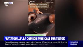 Sur TikTok, les internautes créent une comédie musicale inspirée de "Ratatouille"