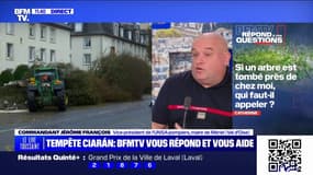 Si un arbre est tombé près de chez moi, qui faut-il appeler ? BFMTV répond à vos questions