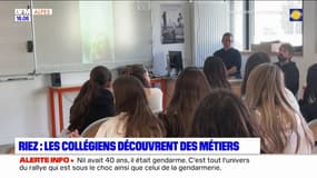 Alpes-de-Haute-Provence: les collégiens de Riez découvrent des métiers