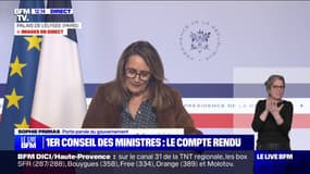 "Ce gouvernement est né dans la tourmente et chacun doit prendre ses responsabilités", déclare Sophie Primas, porte-parole du gouvernement