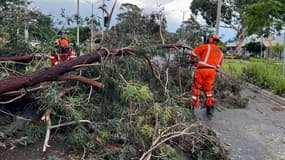 Les dégâts des vents violents qui ont touché l'Australie, le 13 février 2024