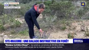 Sainte-Maxime: une balade instructive en forêt