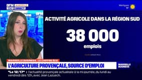 Marseille Business du mardi 5 mars - L'Agriculture Provençale : source d'emploi