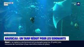 Boulogne-sur-Mer: l'aquarium Nausicaa propose un tarif réduit pour les soignants