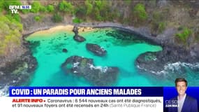 Covid: un paradis pour anciens malades au Brésil - 08/09