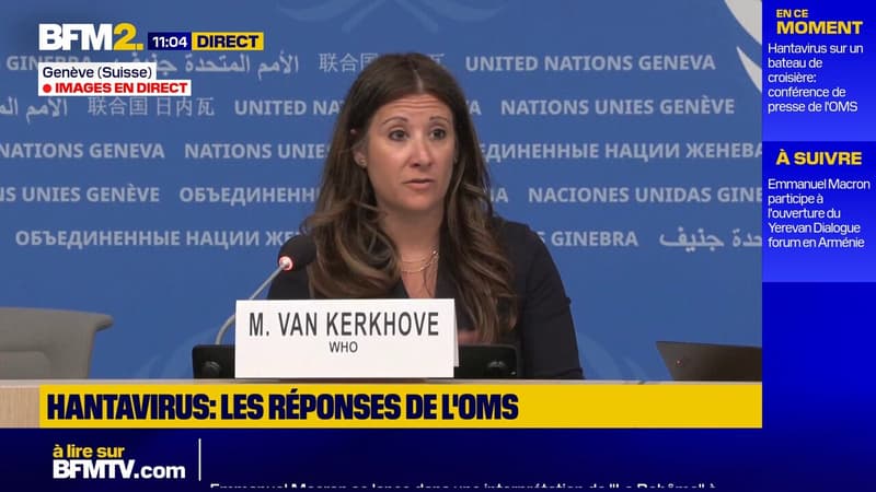 Hantavirus à bord du bateau l'Hondius: l'OMS confirme "le total à sept cas, deux confirmés et cinq suspects"