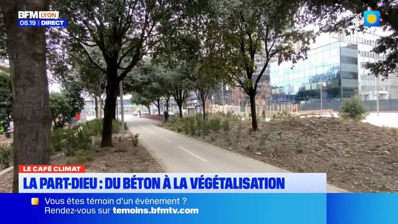 Le Café Climat: à la Part-Dieu, du béton à la végétalisation