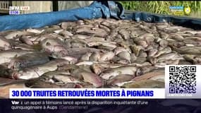 Var: 30.000 truites retrouvées mortes à Pignans