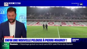 LOSC: la pelouse du stade Pierre Mauroy va être changée la semaine prochaine