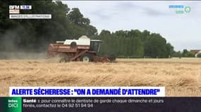 Hautes-Alpes: Le Buëch placé en alerte sécheresse, la colère monte chez les agriculteurs