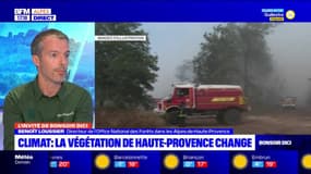 Alpes-de-Haute-Provence: les forêts face au réchauffement climatique