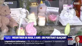 Vosges: le portrait glaçant du meurtrier présumé de la petite Rose, visé par une nouvelle plainte pour viol