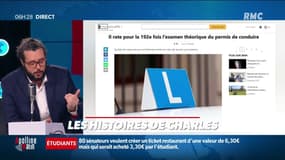 Pologne: il loupe son code de la route pour la 192ème fois