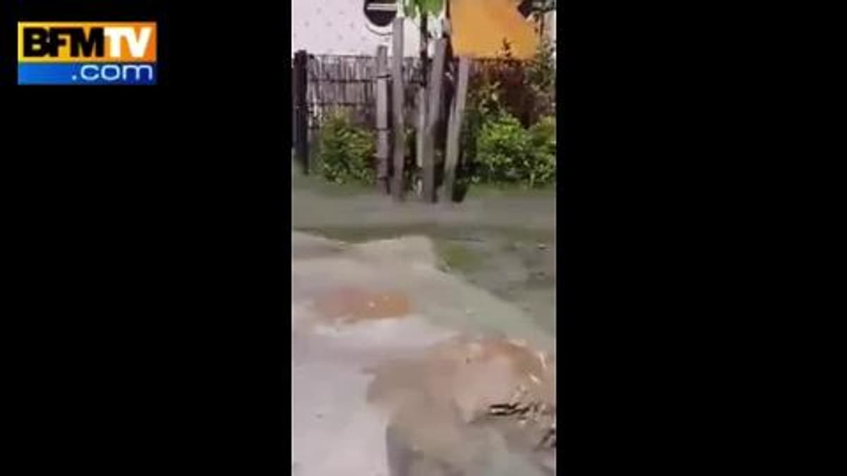 placeholder video