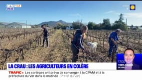 Var: la colère des agriculteurs de La Crau