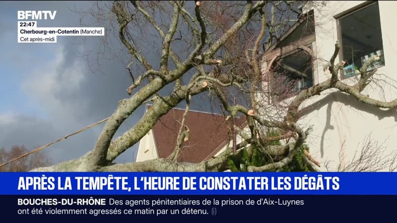 Après la tempête Goretti, les habitants constatent les dégâts