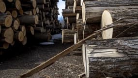 Moulinvest progresse en Bourse 