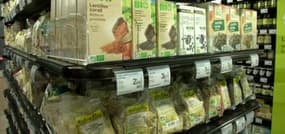 Rungis : inauguration d'un pavillon consacré au bio par François Hollande