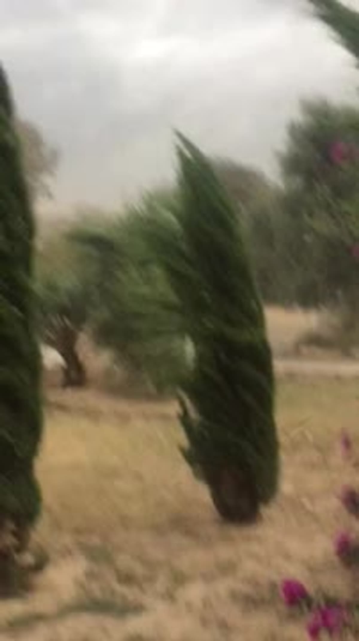 placeholder video
