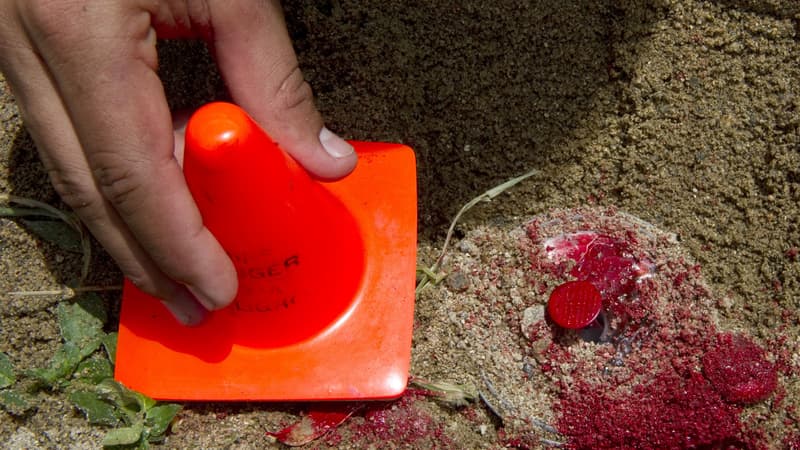 Une mine antipersonnel identifiée à San Carlos, en Colombie, en 2012 (photo d'illustration)
