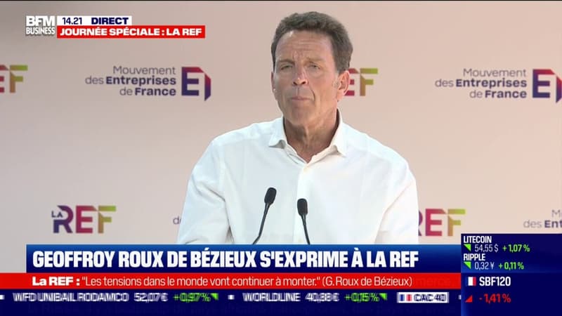 Geoffroy Roux de Bézieux s'exprime à la REF
