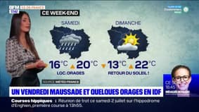 Météo Paris-Ile de France du 24 juin: Un vendredi maussade et quelques orages