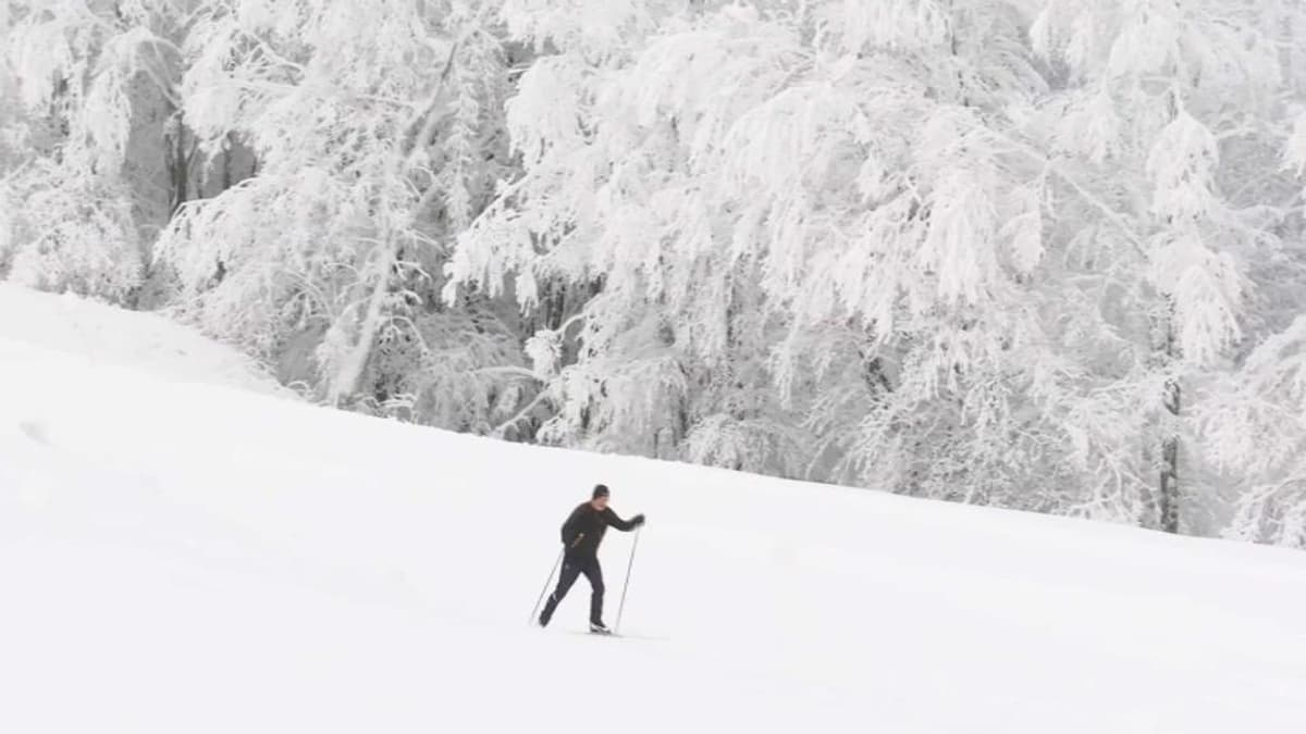 placeholder video