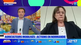 "On mettra en danger la qualité de l'alimentation en France" avec l'accord Mercosur, assure la présidente de la FRSEA Normandie