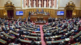 Des pétitions en ligne pourront bientôt être directement adressées aux sénateurs. 