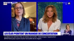 Nouveau dispositif sanitaire: "Ce ne sera pas efficace en l'état", affirme Anne Souyris