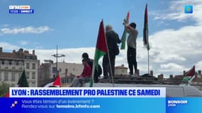 Lyon: un rassemblement pour le cessez-le-feu à Gaza annoncé ce samedi