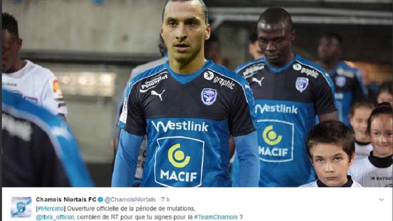 Ibrahimovic vers Niort ?