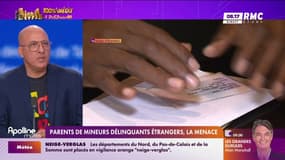 Expulsion des parents de mineurs délinquants: "Il faut ramener l'autorité de l'État dans nos quartiers, mais pas sous cette forme-là", indique Mokrane Kessi, président de l'association "France des banlieues"