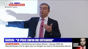 "Il y avait beaucoup de méfiance de la part de nos collègues japonais": Carlos Ghosn affirme qu'il voulait prendre sa retraite avant juin 2018