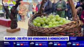 Flandre: 25ème fête des vendanges d'Hondschoote