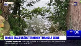 78: les eaux usées terminent dans la Seine
