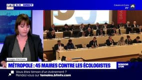 Métropole : 45 maires contre les écologistes