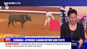 Après le retrait du texte sur la corrida, Douchka Mira Markovic (Parti animaliste) dénonce un "déni de démocratie"