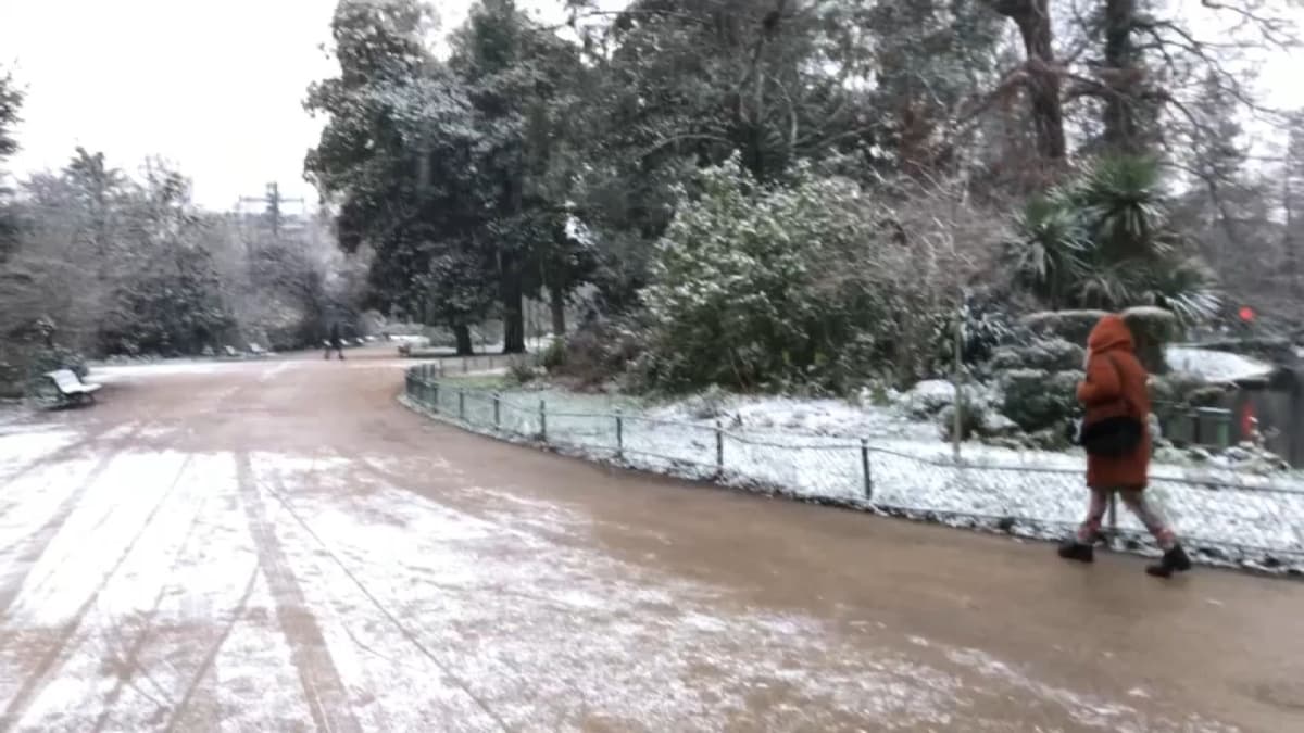 placeholder video