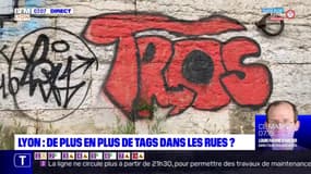 Lyon: de plus en plus de tags dans les rues?