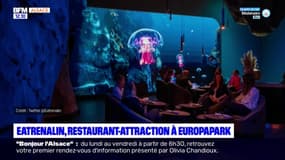 Europapark: le restaurant-attraction Eatrenalin ouvre ce vendredi