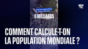 8 milliards d'habitants sur Terre: comment est calculée la population mondiale?