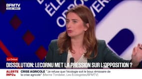 Budget 2026: "Ce budget comporte beaucoup de choses horribles sur le plan environnemental et sur le plan social", affirme Marine Tondelier (Les Écologistes)